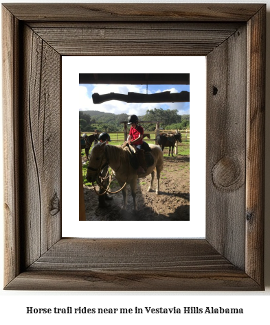 horse trail rides near me in Vestavia Hills, Alabama